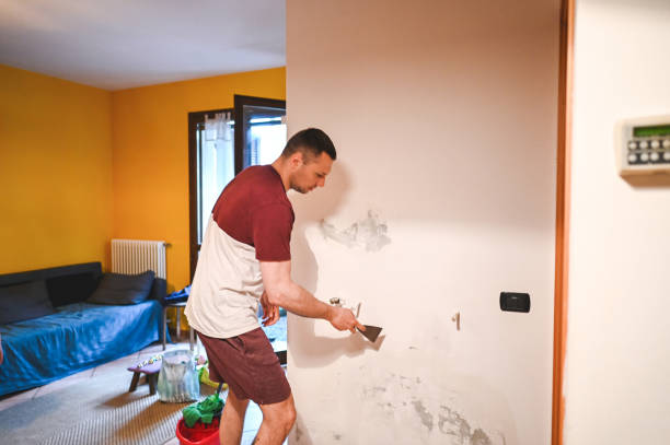 Best Insurance-Related Mold Remediation in Macon, GA